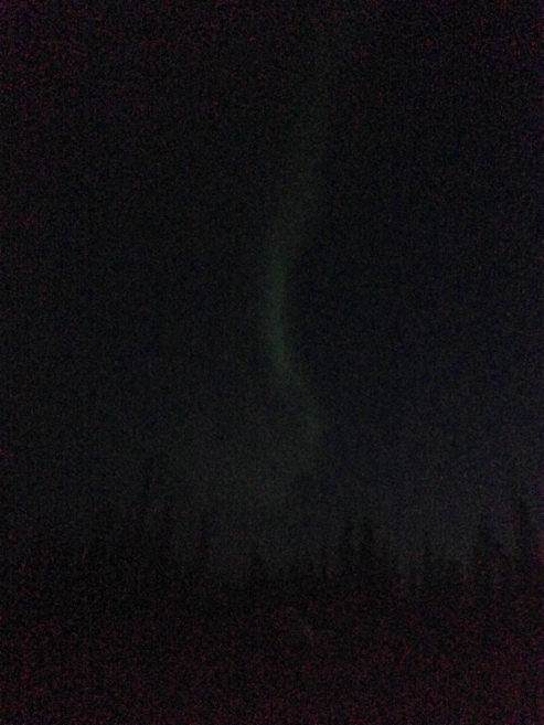 My attempt to photograph the Aurora (Next time I will find a long exposure app)
